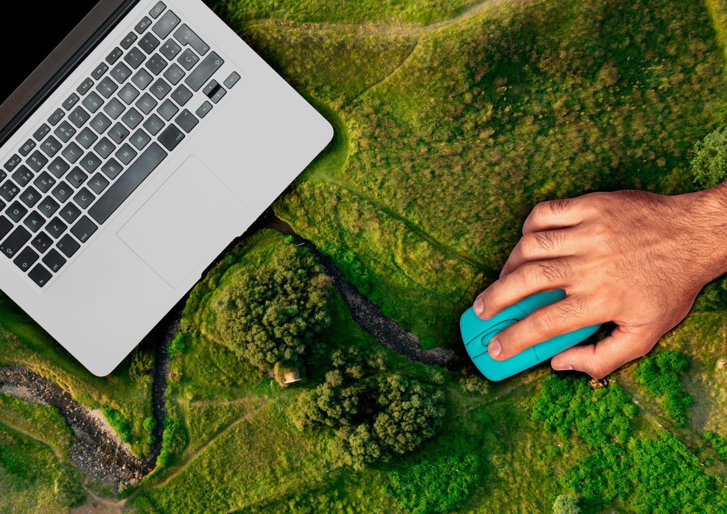 Ecosistemas Digitales Sostenibles: Innovación para el Futuro